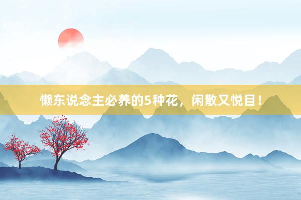 懒东说念主必养的5种花，闲散又悦目！