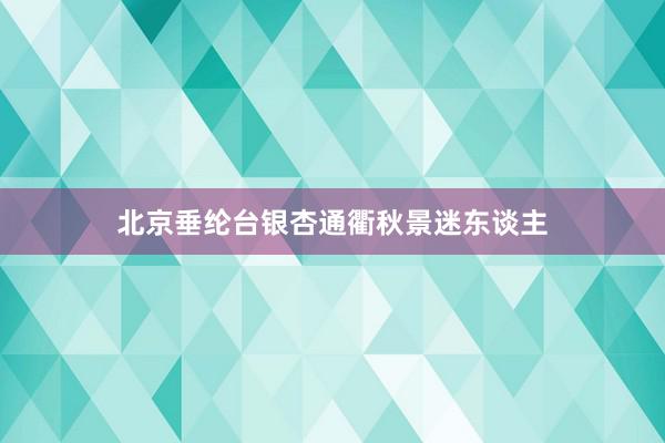 北京垂纶台银杏通衢秋景迷东谈主