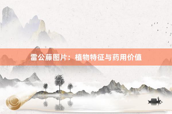 雷公藤图片：植物特征与药用价值